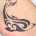 tattoo galleries/ - Tribal Dolphin tattoo